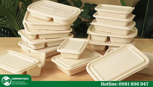 Quy trình sản xuất hộp bã mía vuông tại Hunufa Compostable