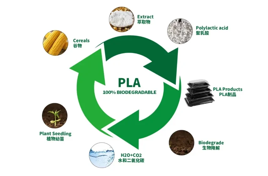 Tất tần tật thông tin cần nắm về nhựa phân huỷ sinh học PLA
