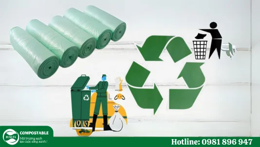 Hướng dẫn phân loại rác thải đúng cách để không bị xử phạt
