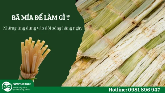 Bã mía để làm gì? Những ứng dụng vào đời sống hằng ngày