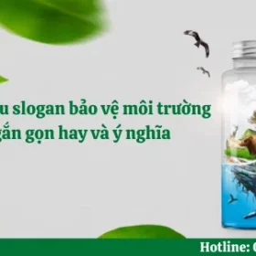 99+ câu slogan bảo vệ môi trường ngắn gọn hay và ý nghĩa