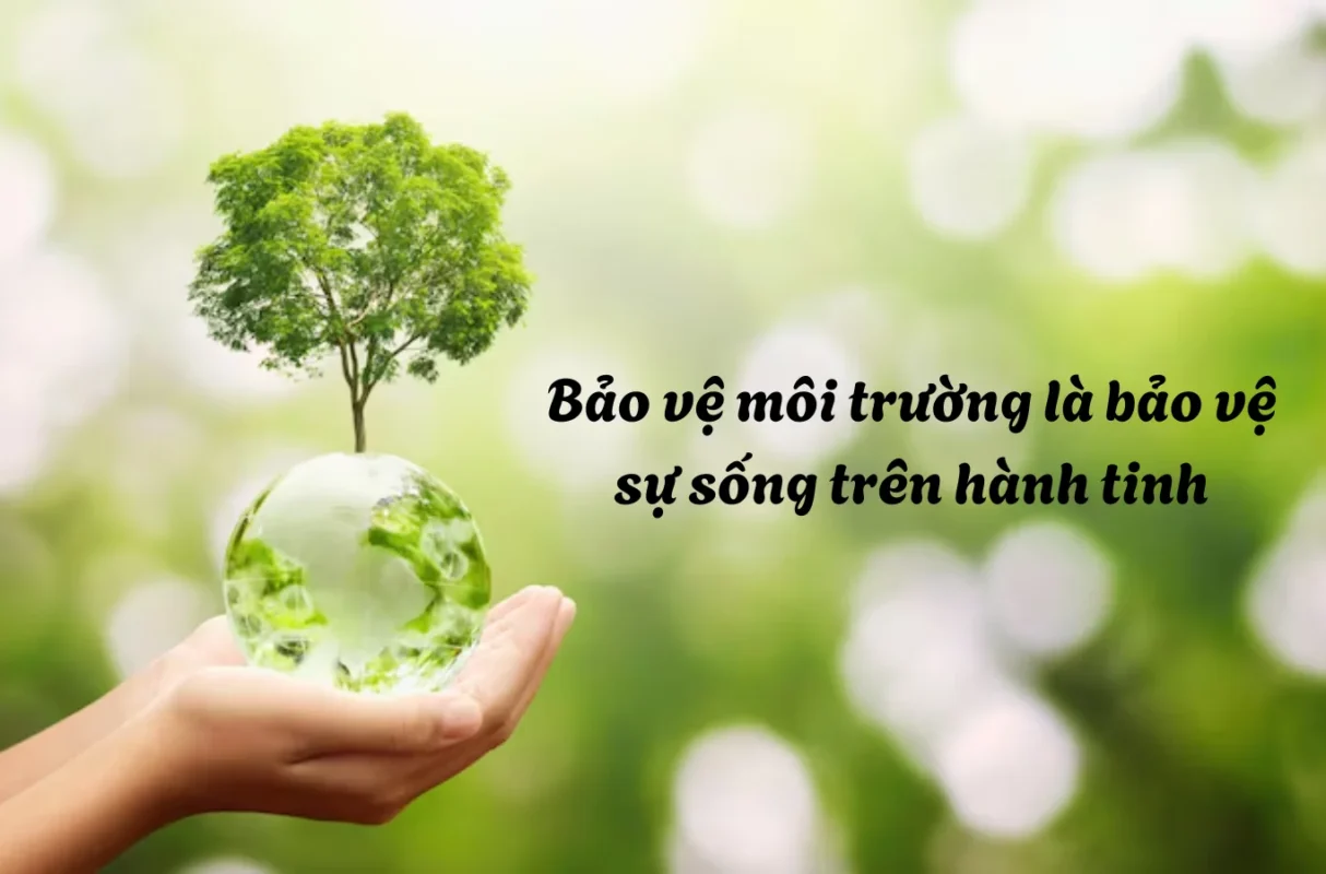 99+ câu slogan bảo vệ môi trường ngắn gọn hay và ý nghĩa