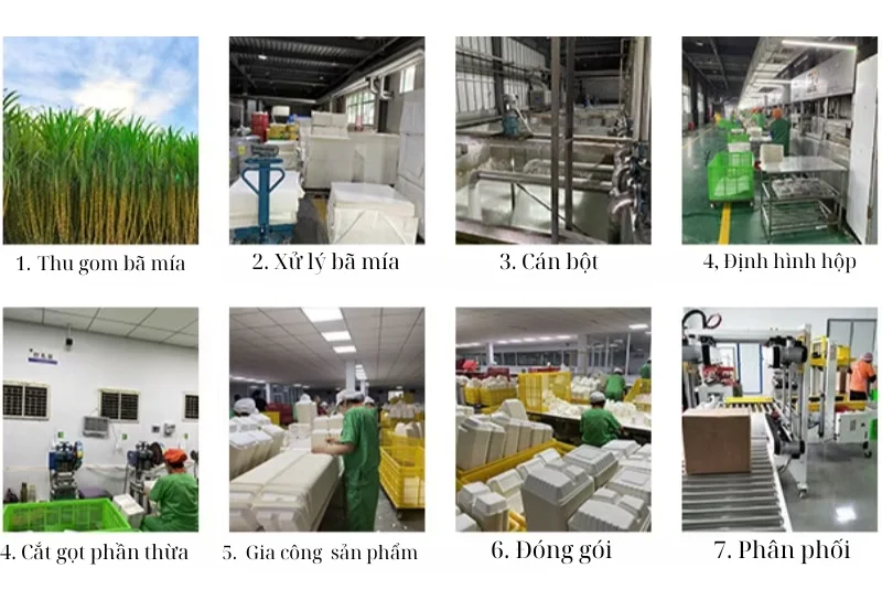 Hộp xốp bã mía là gì ? Quy trình sản xuất hộp xốp từ bã mía