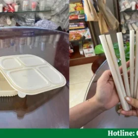 Sản phẩm làm từ bã mía tái chế: Giải pháp bảo vệ môi trường
