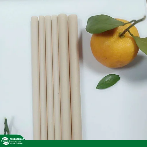 10 quà tặng thân thiện môi trường độc đáo cho người thích sống xanh