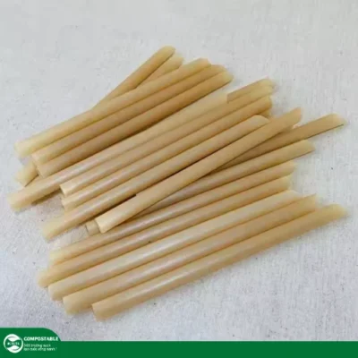 Ống hút bã mía hình trái tim cao cấp, không tan trong nước, không PE