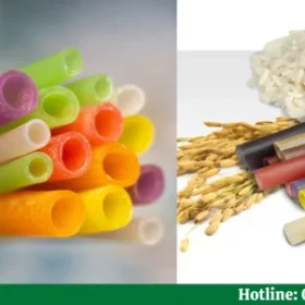 Ống hút gạo là gì? Giá ống hút gạo là bao nhiêu?