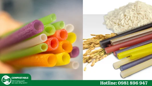 Ống hút gạo là gì? Giá ống hút gạo là bao nhiêu?