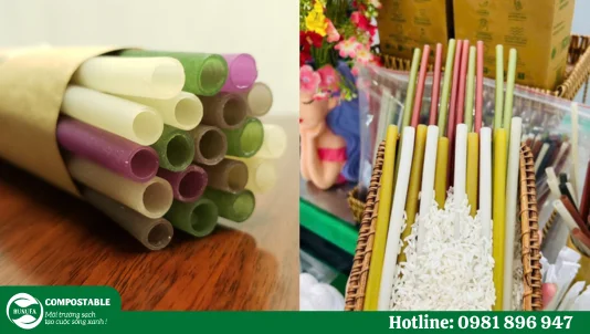 Giới thiệu ống hút gạo Ochao giá tốt, bảo vệ môi trường