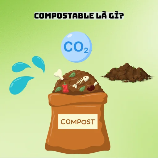 Compostable là gì? Định nghĩa, phân biệt với Biodegradable