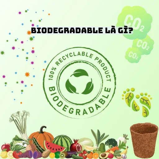 Compostable là gì? Định nghĩa, phân biệt với Biodegradable