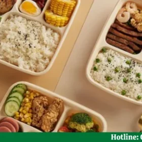 Địa chỉ mua hộp bã mía Hà Nội giá rẻ, uy tín cao