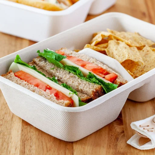 Địa chỉ mua hộp bã mía Hà Nội giá rẻ, uy tín cao