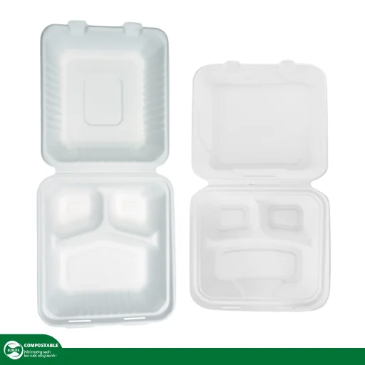 Hộp bã mía mua ở đâu tại TP.HCM? Giá tốt, chất lượng