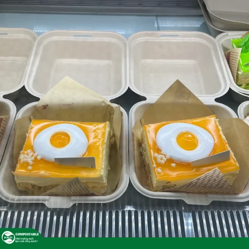 Hộp bã mía có tái sử dụng được không?