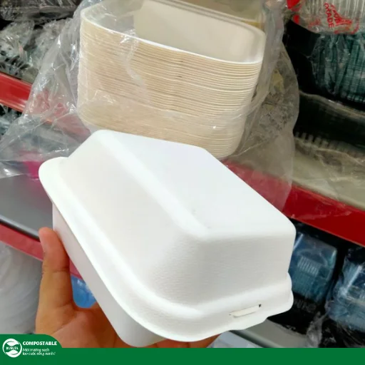 Hộp bã mía có tái sử dụng được không?