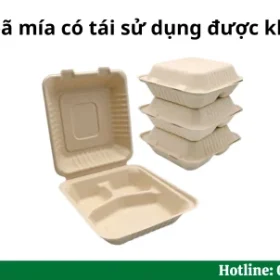 Hộp bã mía có tái sử dụng được không?
