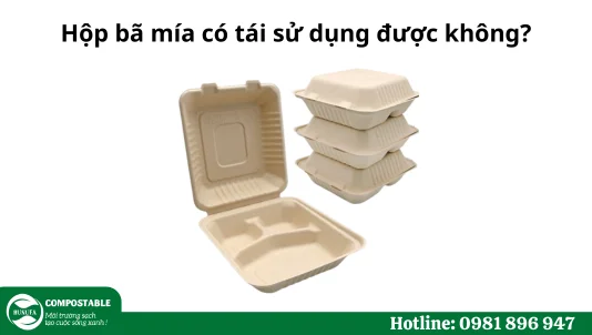 Hộp bã mía có tái sử dụng được không?