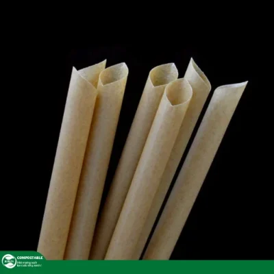 Ống hút bã mía an toàn, made in Việt Nam, không tan trong nước, hộp 100 cái