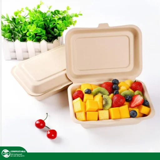 Hộp đựng trái cây gọt sẵn chất lượng, vệ sinh, giá tốt