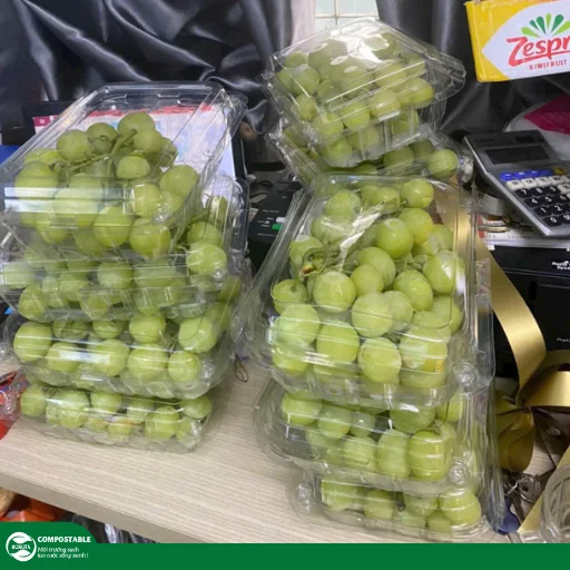 Hộp đựng trái cây gọt sẵn chất lượng, vệ sinh, giá tốt