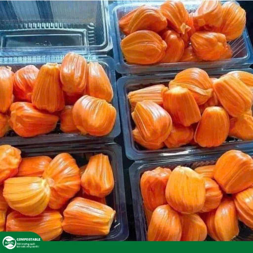 Hộp đựng trái cây gọt sẵn chất lượng, vệ sinh, giá tốt