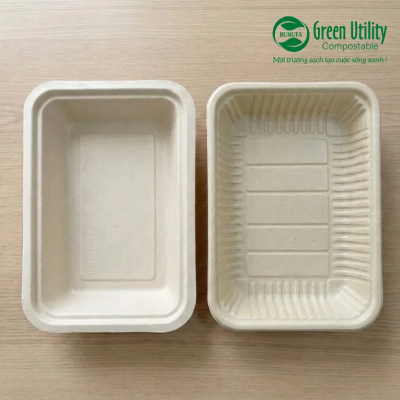 Khay bã mía phân hủy sinh học: Phân biệt 2 dòng phổ biến