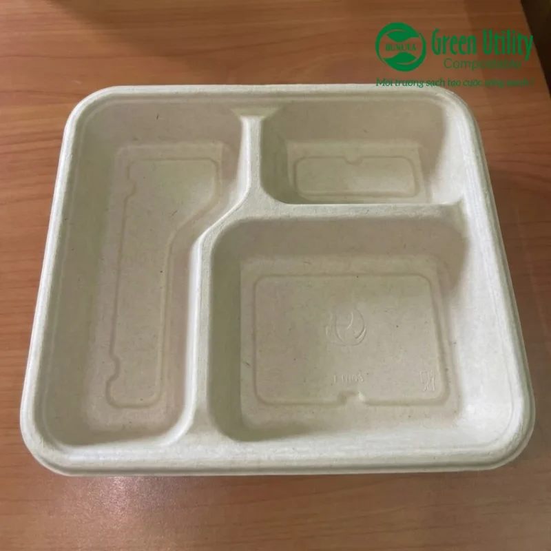 Khay bã mía phân hủy sinh học: Phân biệt 2 dòng phổ biến