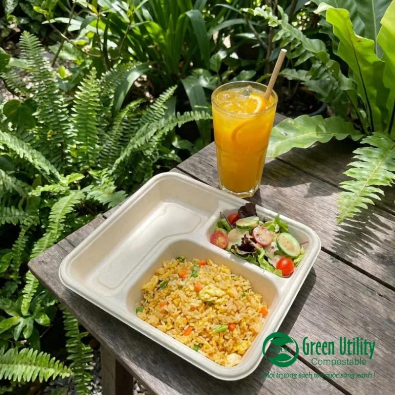 Khay bã mía phân hủy sinh học: Phân biệt 2 dòng phổ biến