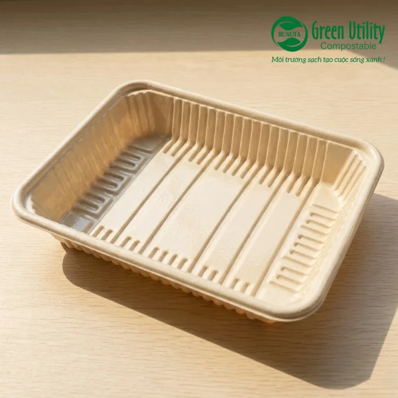 Khay bã mía phân hủy sinh học: Phân biệt 2 dòng phổ biến