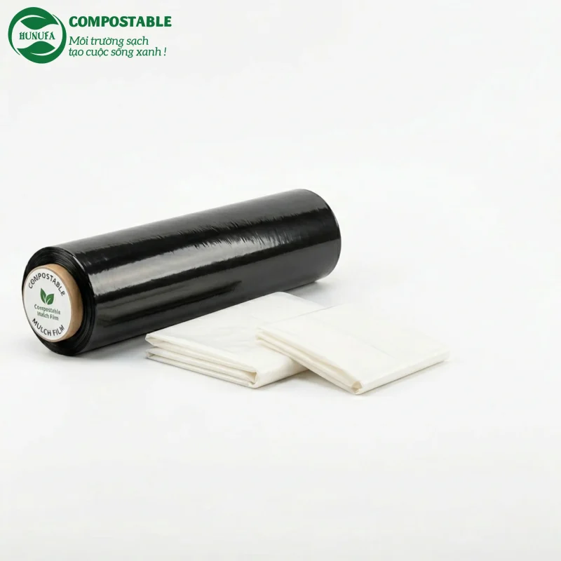 Các loại nhựa phân hủy sinh học phổ biến hiện nay - Tổng hợp đầy đủ và dễ hiểu